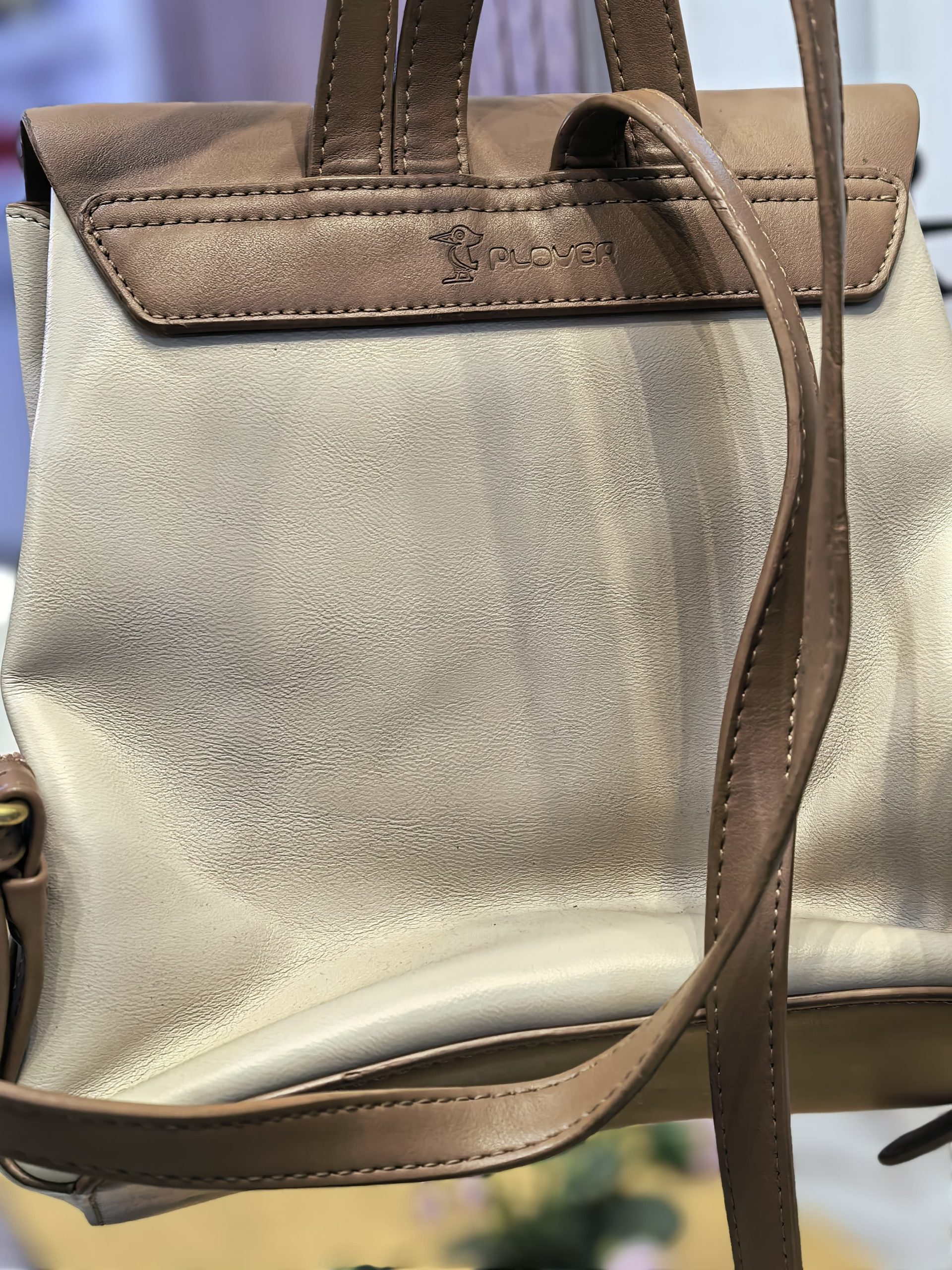 Plover Back Pack Bag